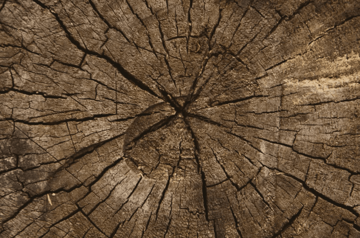Unlocking Longevity: Delving into 3 More Hallmarks of Aging (Part 2)