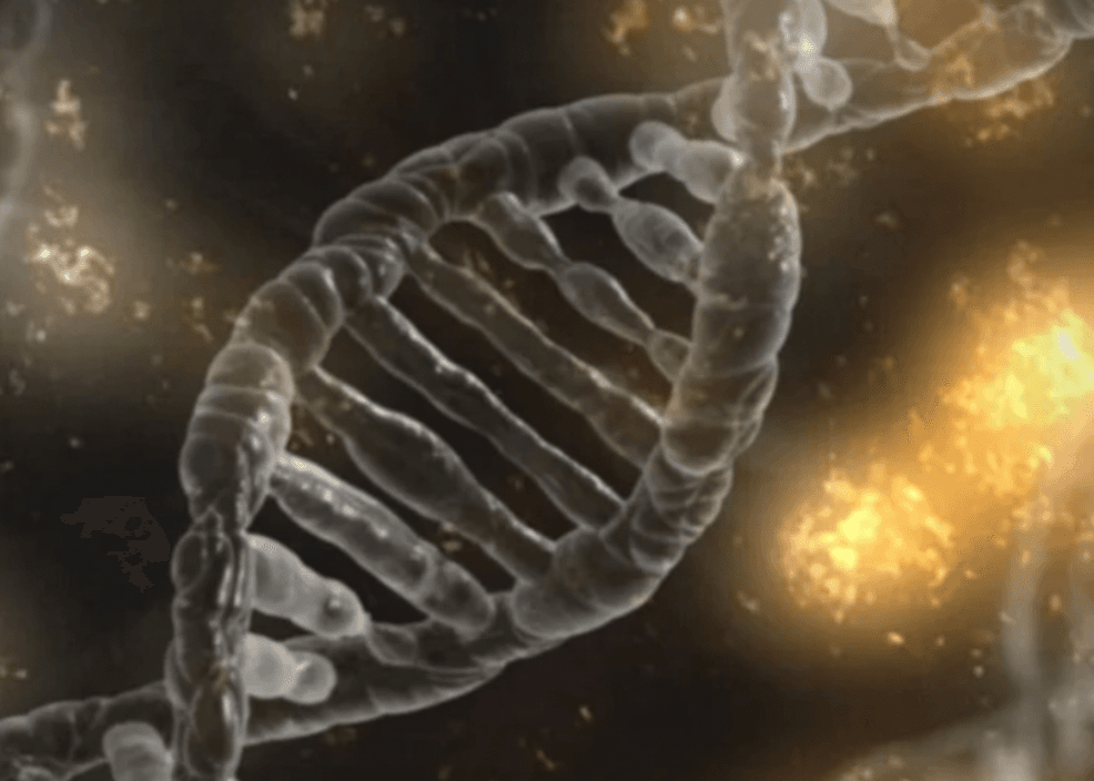 Methyl-what? A Beginner’s Guide to Methylation