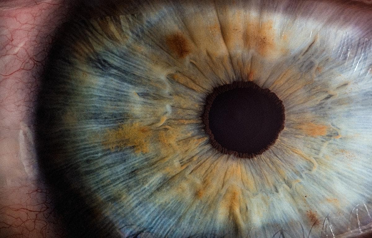 Can EMDR Change Your Brain?