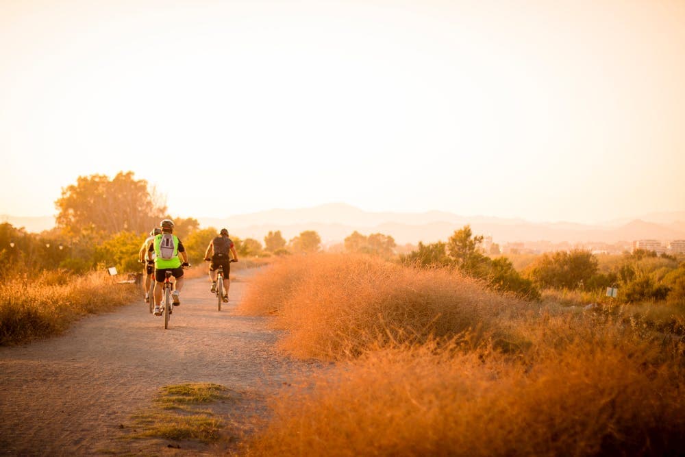 How Exercise Improves Your Immune Health