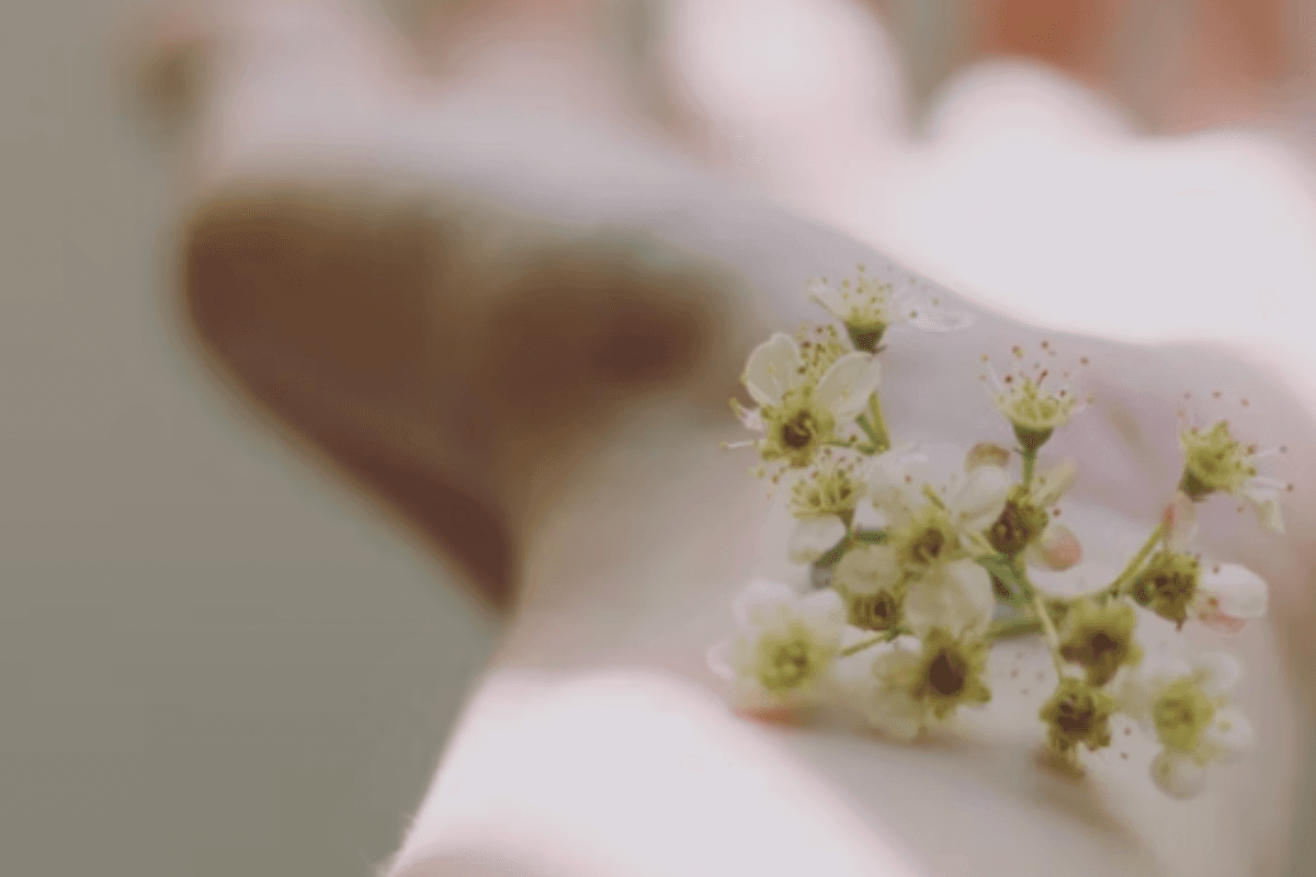 How to Manage The Six Microbiomes That Keep You Well