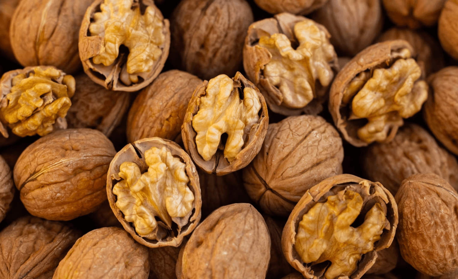 8 Reasons Why You Need to Focus on Maximizing Omega 3s
