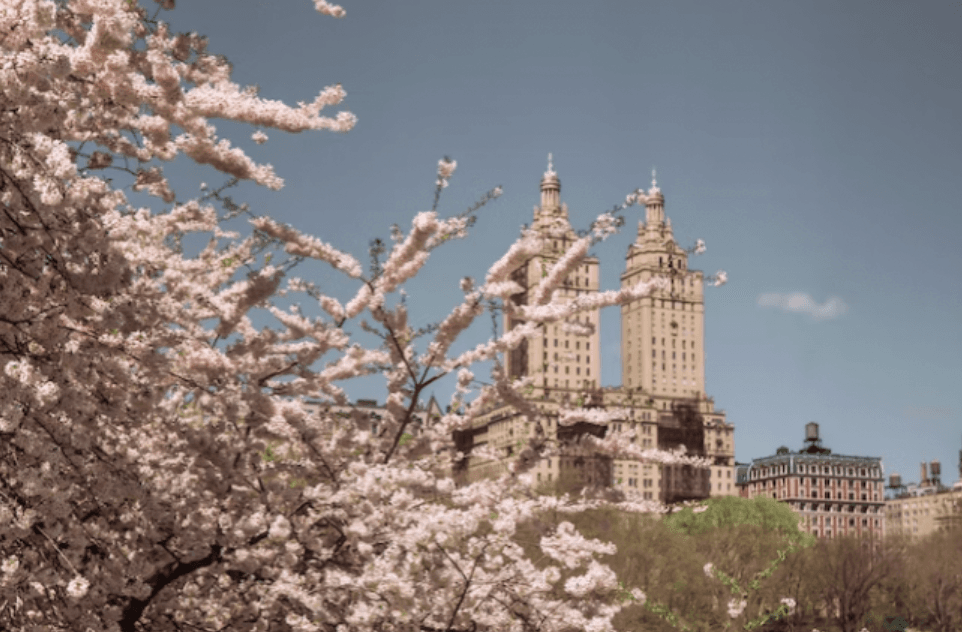 Health Coach Tip - Natural Aid For Spring-time Allergies