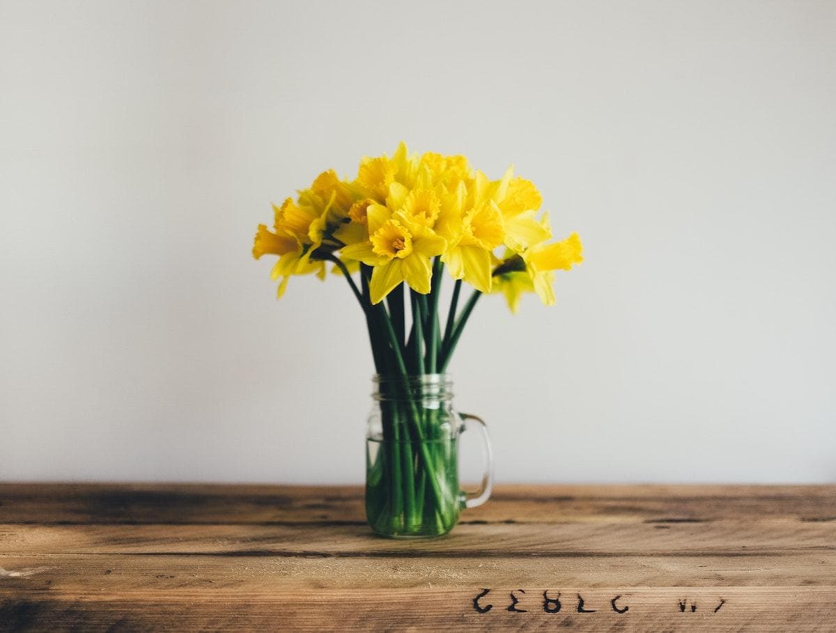 8 Ways to Fight Springtime Allergies in the COVID-19 Era