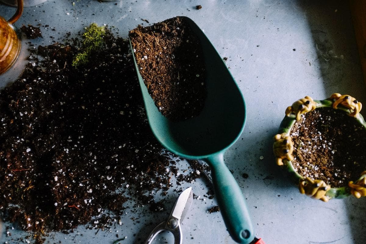 Health Coach Tip - Grow Some Food