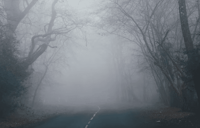10 Reasons Why You’ve Got Brain Fog and 10 Ways to Clear It
