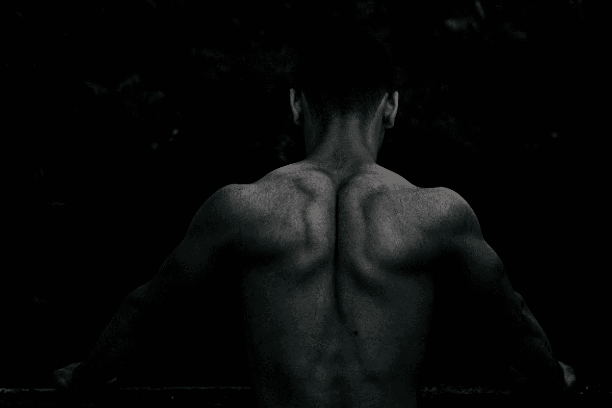 How Does Creatine Support Muscle Health?