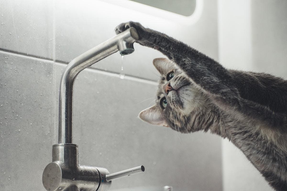 Top 5 Types of Drinking Water Filtration