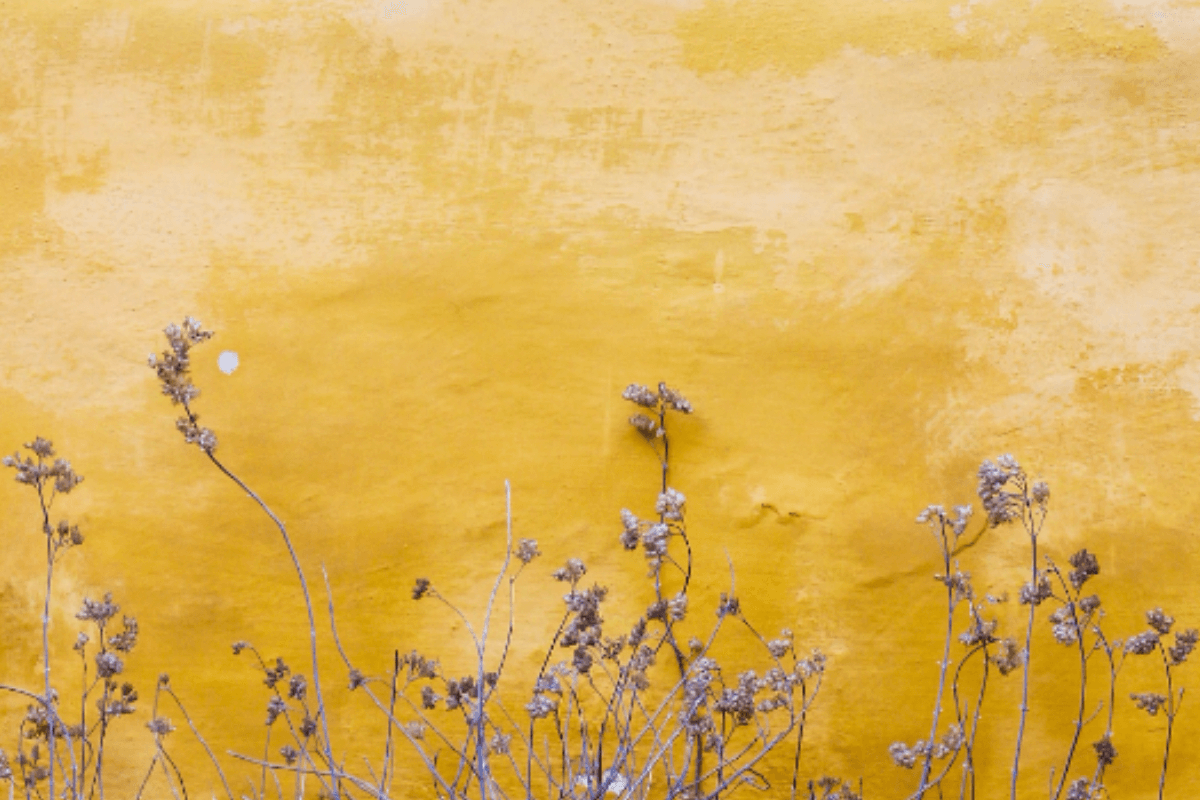 Mastering Your Mood: The Transformative Power of Lifestyle Choices