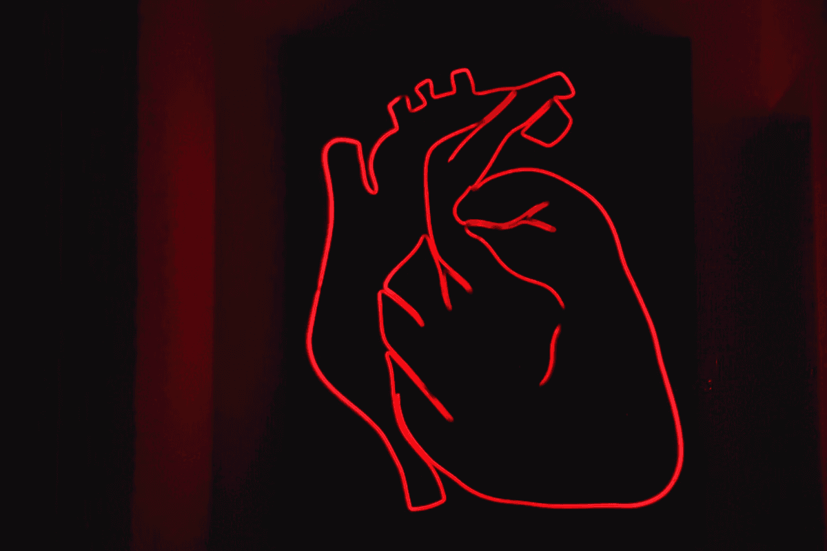 Introducing ApoB: The Essential and Inexpensive Heart Test You Must Ask for to Live Long and Well