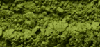 Health Coach Tip – Does Matcha Make Your Hair Fall Out? Here’s What You Need to Know
