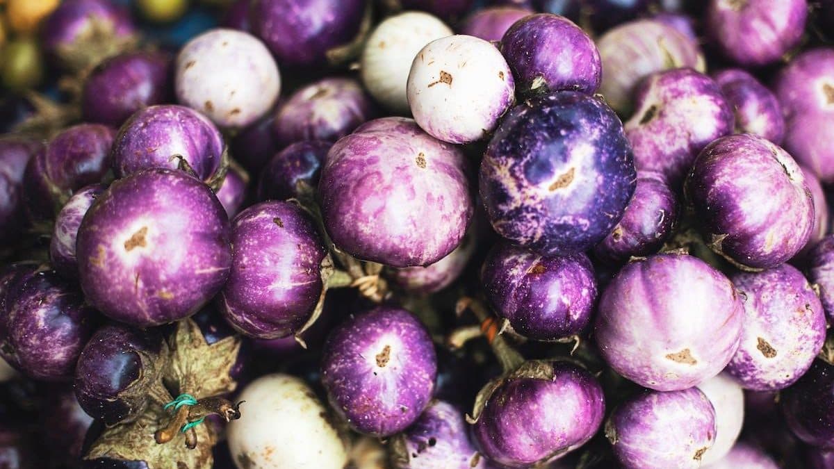 Health Coach Tip - Preserve the Fall Harvest