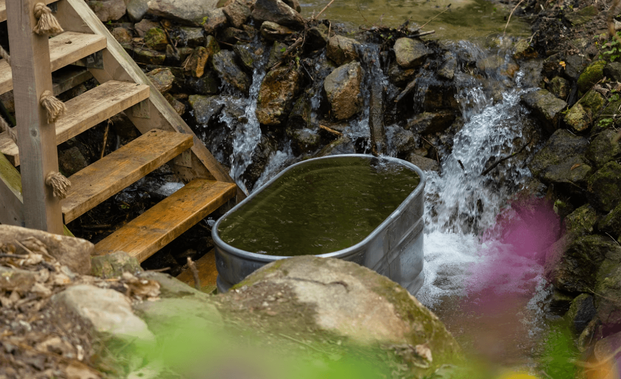 Health Coach Tip – Cold Plunge Best Practices