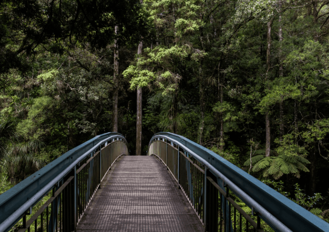 How ‘Bathing’ and Grounding Yourself in Nature Heals and Protects Body, Mind and Spirit