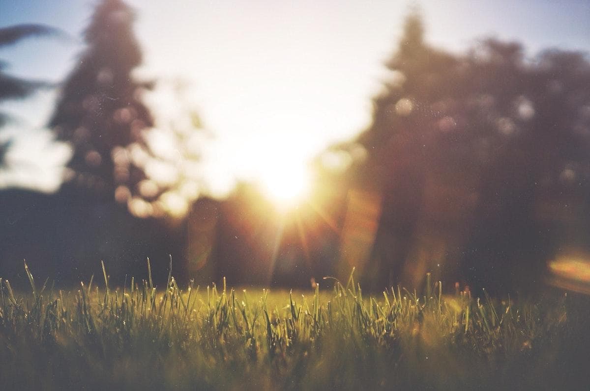 24 Ways to Fight COVID-19 - While You Sleep