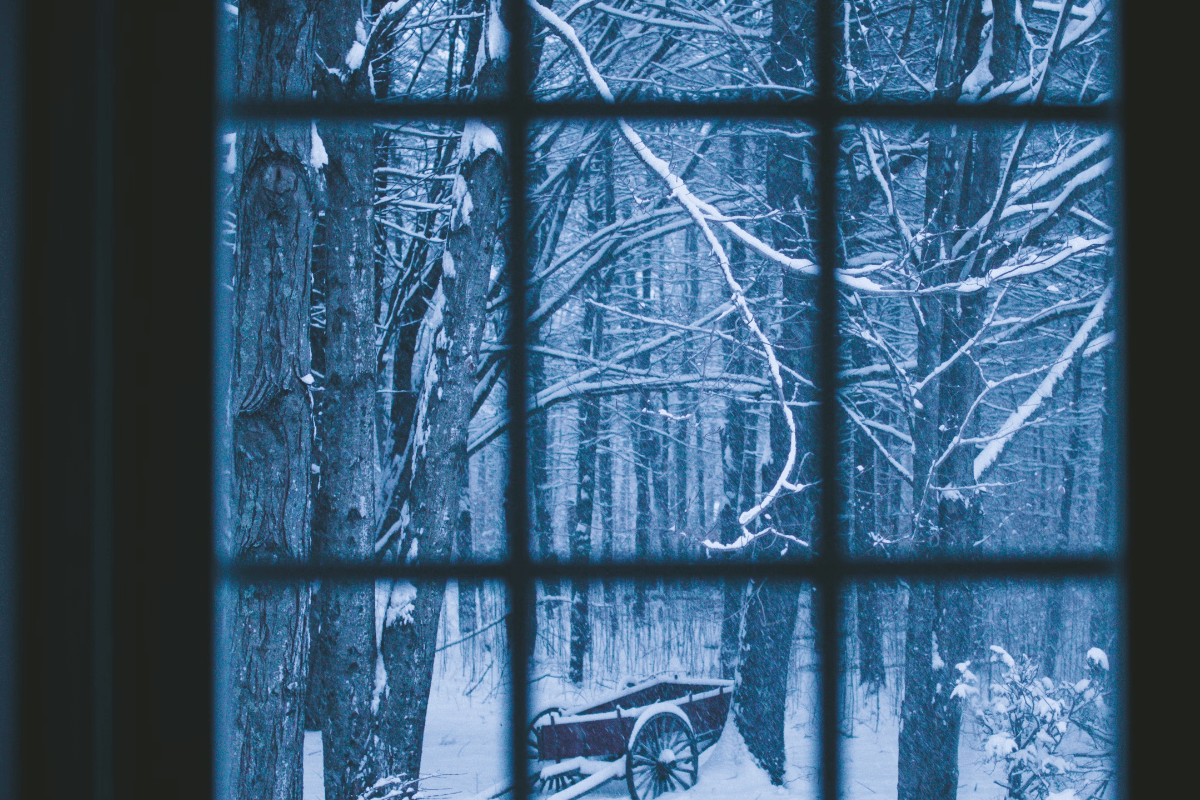 Sunshine Deficiency: Why Your Mood Might Be Hibernating This Winter