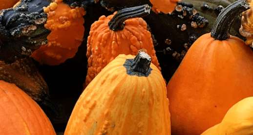 Health Coach Tip - Preserve the Best of the Fall Harvest