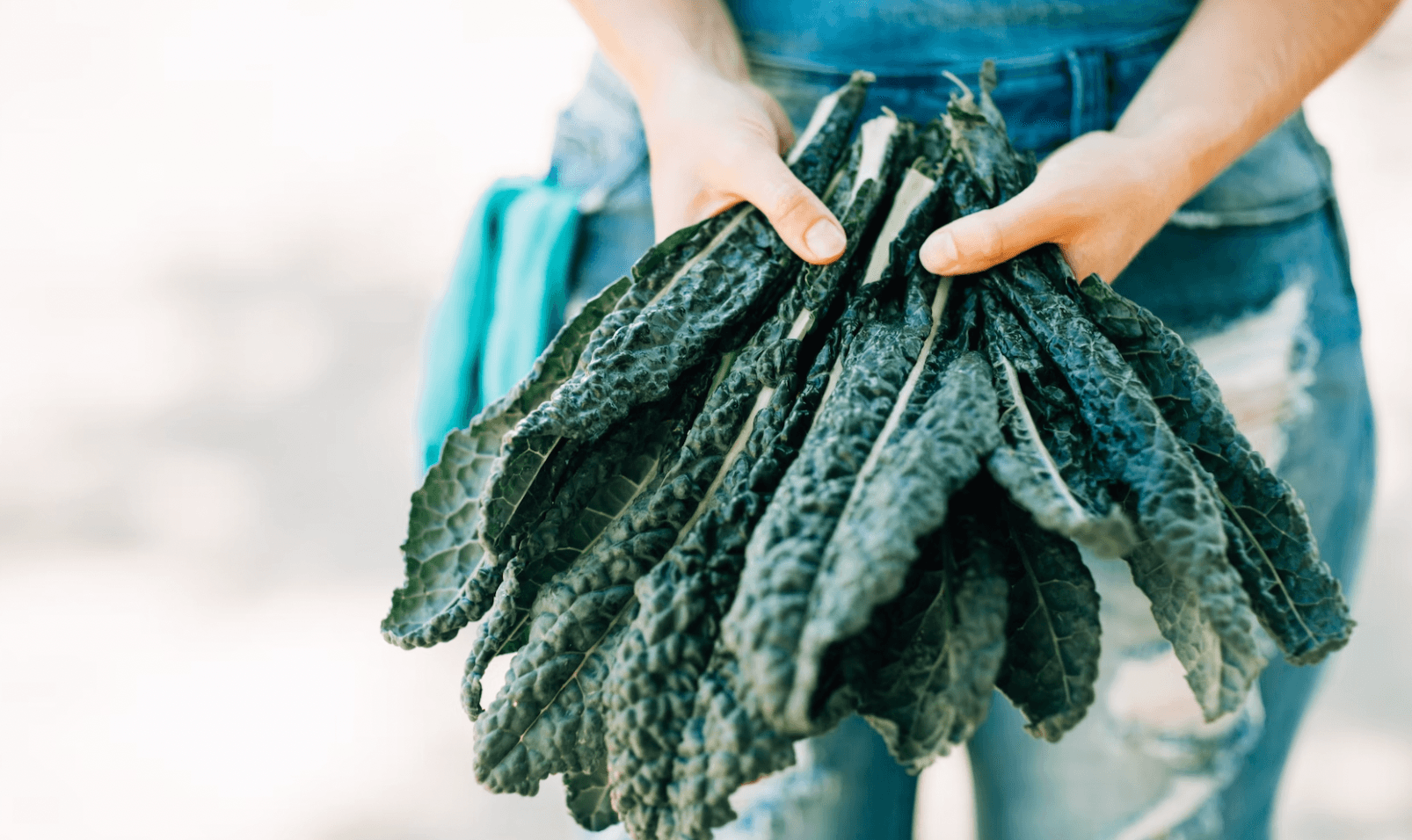 9 Thoughts on Healthy Ways to Ease the Menopause Transition