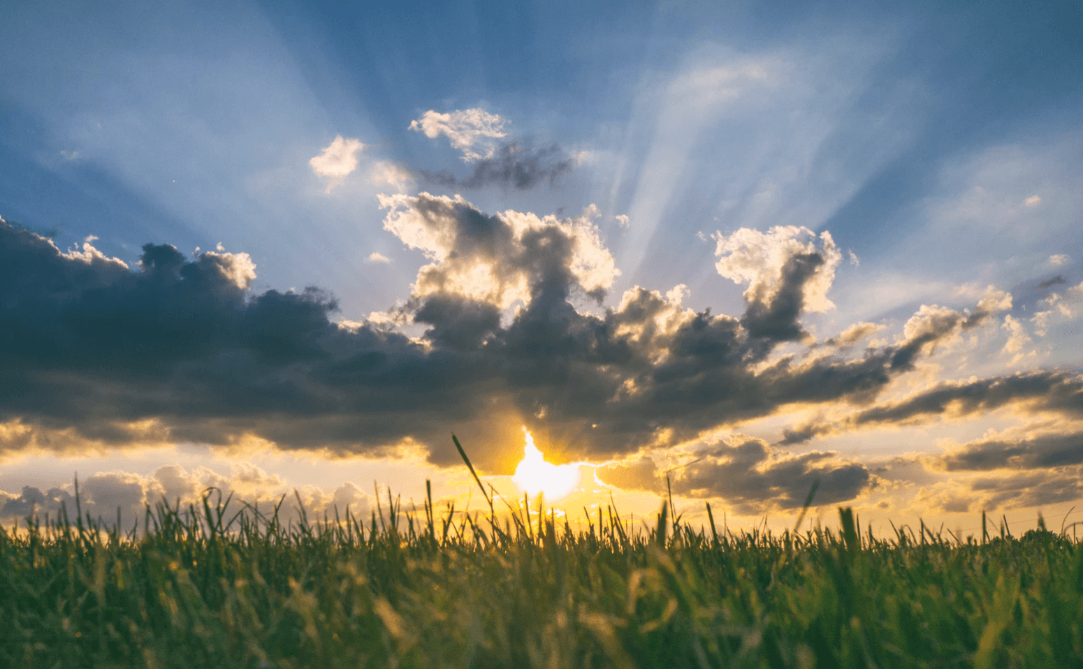 8 Ways Sunshine Upgrades Your Health – And 8 Ways To Enjoy It Sensibly