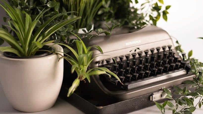 Health Coach Tip - Indoor Plants for Better Health