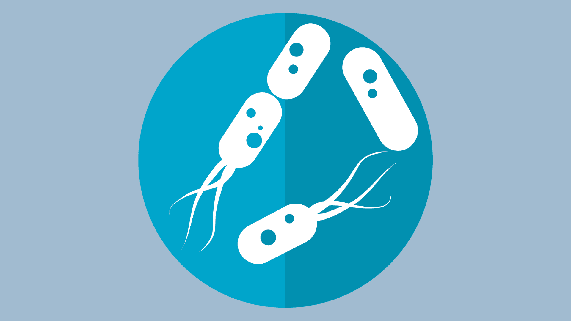 6 Ways an Out-of-Balance Gut Affects Your Well-Being