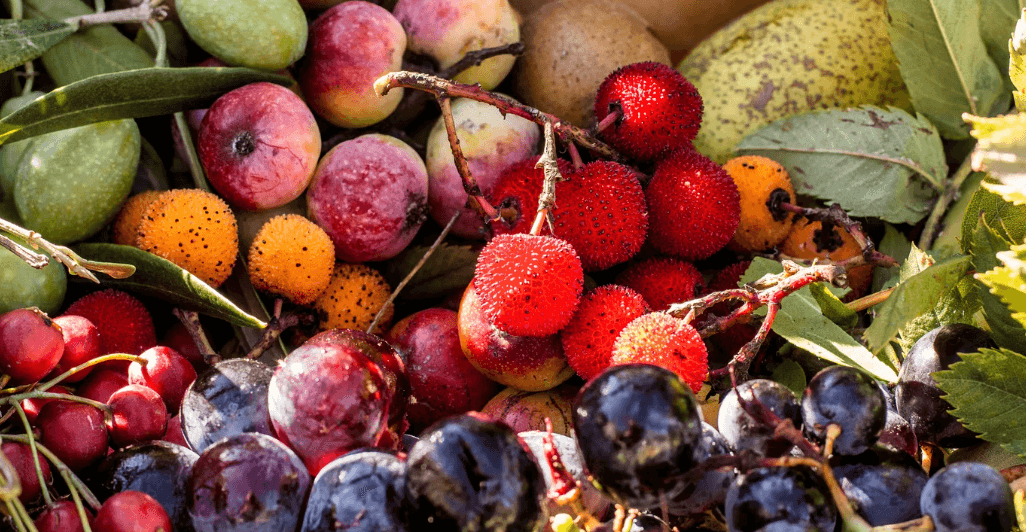 Health Coach Tip - What is an Antioxidant?