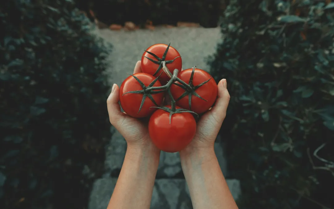 Health Coach Tip – The Benefits of Lycopene