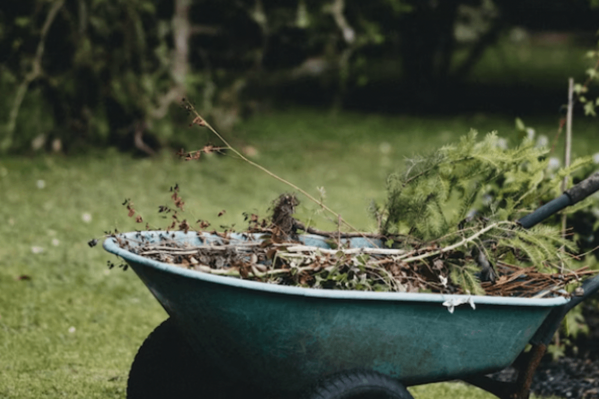 6 Ways Gardening Is the Ultimate Mind–Body Workout
