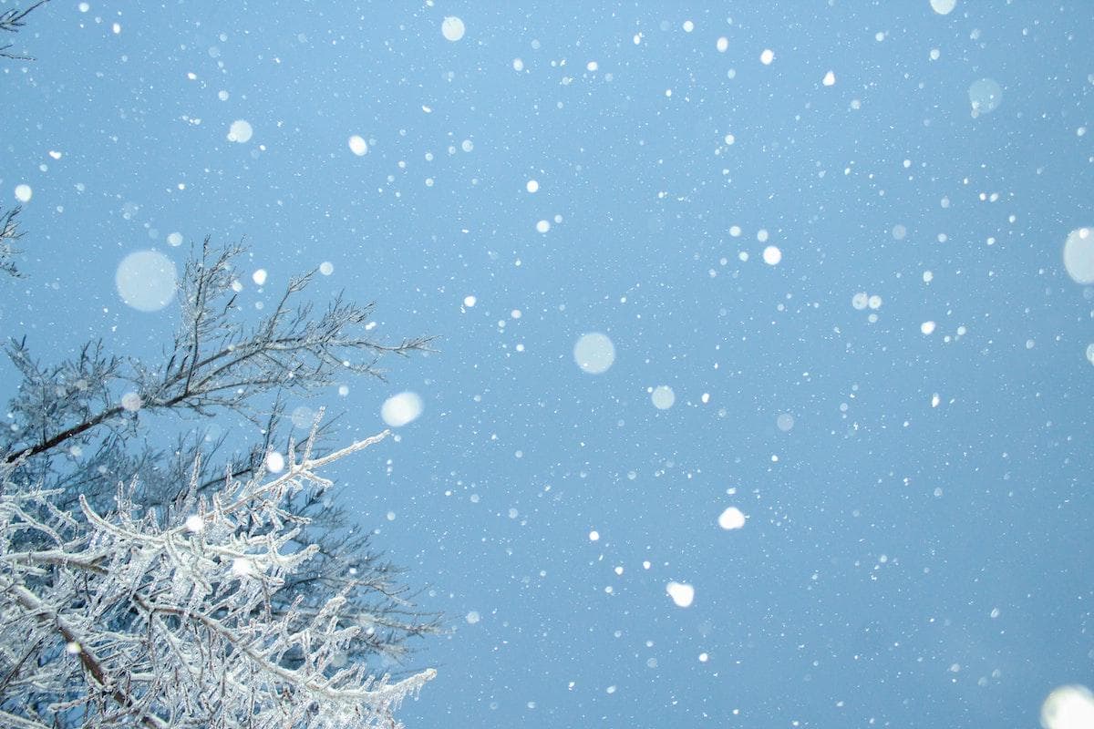 5 Essential Ways to Build Immunity and Stay Well This Winter