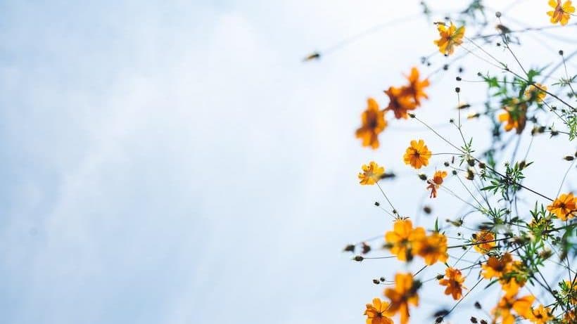 A Therapist Debunks Common Misconceptions About Trauma