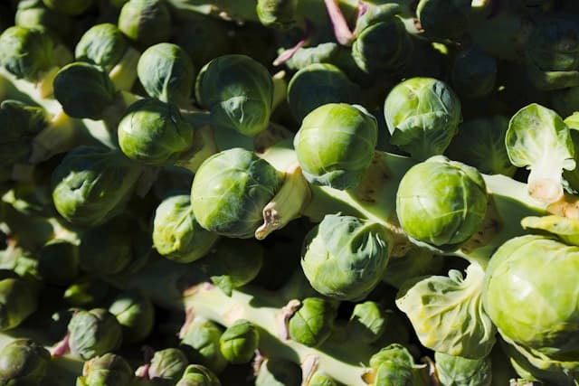 My Go-To Green List: Ten Veggies That Do the Heavy Lifting for Your Health