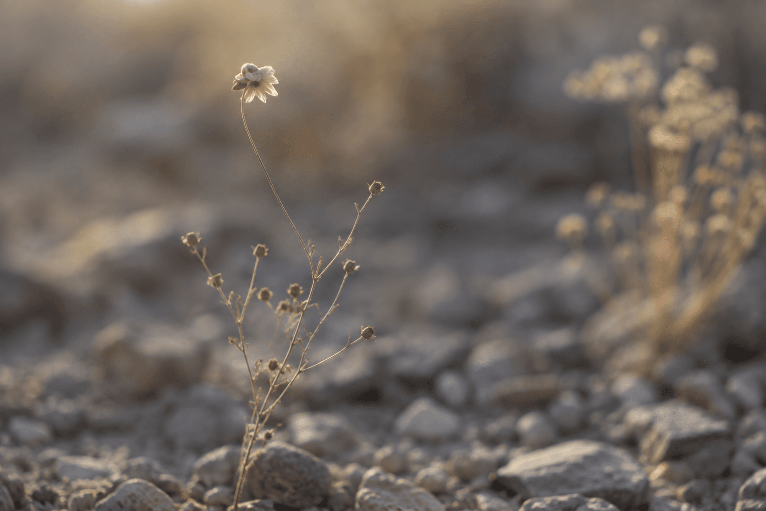 7 Ways to Fight Frailty Before It Sneaks Up on You
